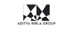 aditya birla group